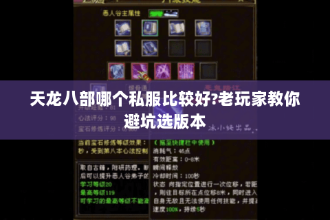 天龙八部哪个私服比较好?老玩家教你避坑选版本
