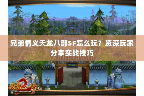 兄弟情义天龙八部SF怎么玩？资深玩家分享实战技巧
