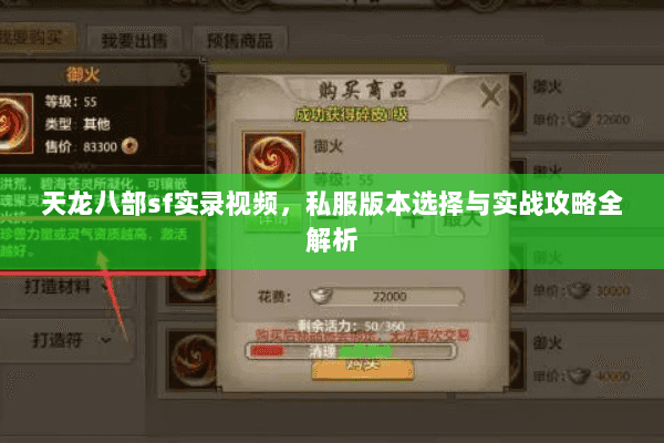 天龙八部sf实录视频，私服版本选择与实战攻略全解析