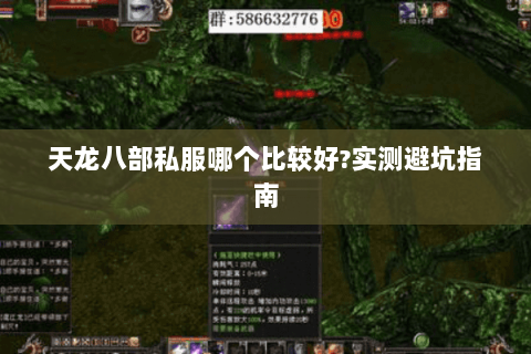 天龙八部私服哪个比较好?实测避坑指南