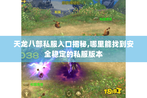 天龙八部私服入口揭秘,哪里能找到安全稳定的私服版本