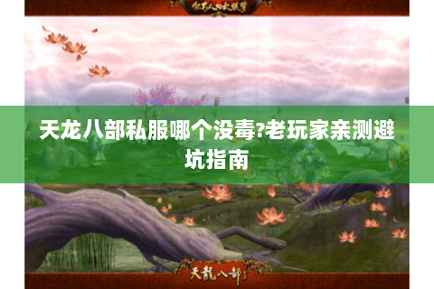 天龙八部私服哪个没毒?老玩家亲测避坑指南