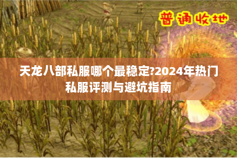 天龙八部私服哪个最稳定?2024年热门私服评测与避坑指南
