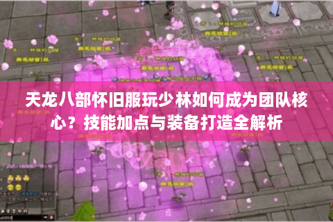 天龙八部怀旧服玩少林如何成为团队核心？技能加点与装备打造全解析